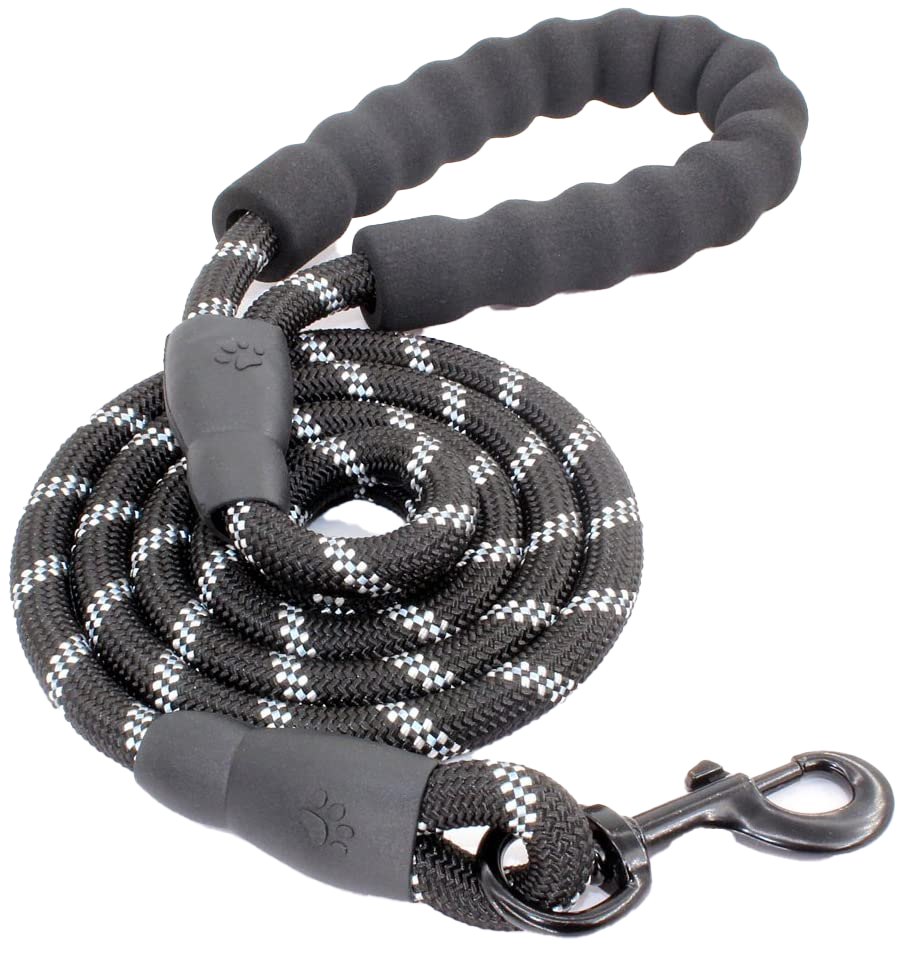 Dog Leash Black 2m