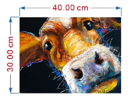 Curious Cow Print 40x30cm