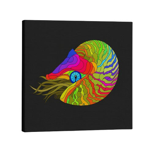Nautilidae Print 20x20cm