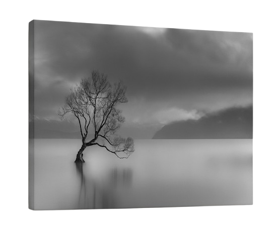 Wānaka Tree Print 40x30cm