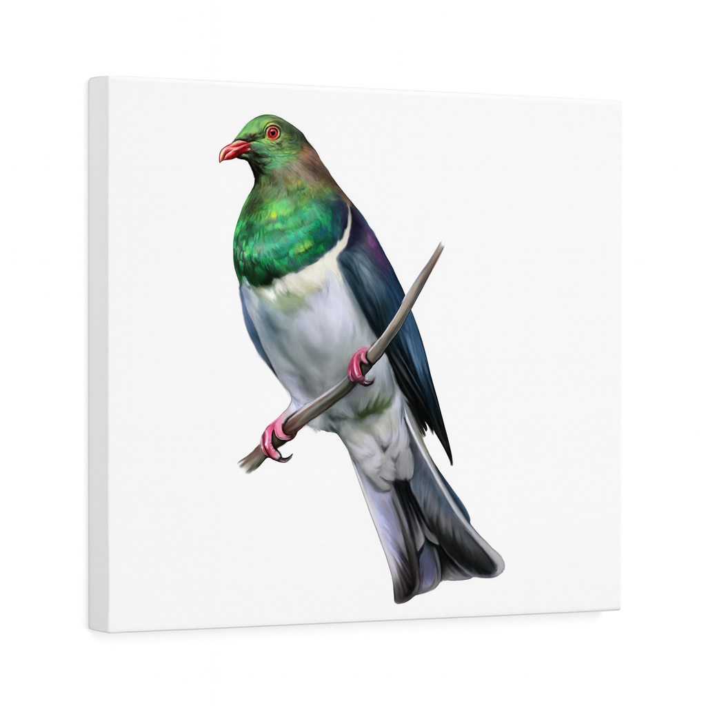 kererū Print 20x20cm