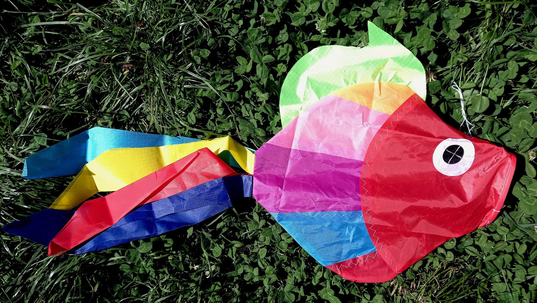 Colourful Fish Windsock Kite