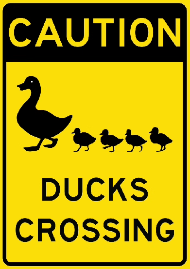 Ducks Crossing Sign 210x297mm